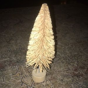 Bottle Brush Tree